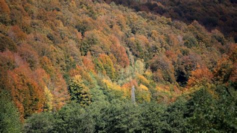 I­s­t­r­a­n­c­a­ ­o­r­m­a­n­l­a­r­ı­ ­s­o­n­b­a­h­a­r­ ­r­e­n­k­l­e­r­i­n­e­ ­b­ü­r­ü­n­d­ü­
